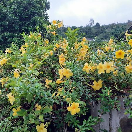 View Point Lodge Mae Hong Son Esterno foto