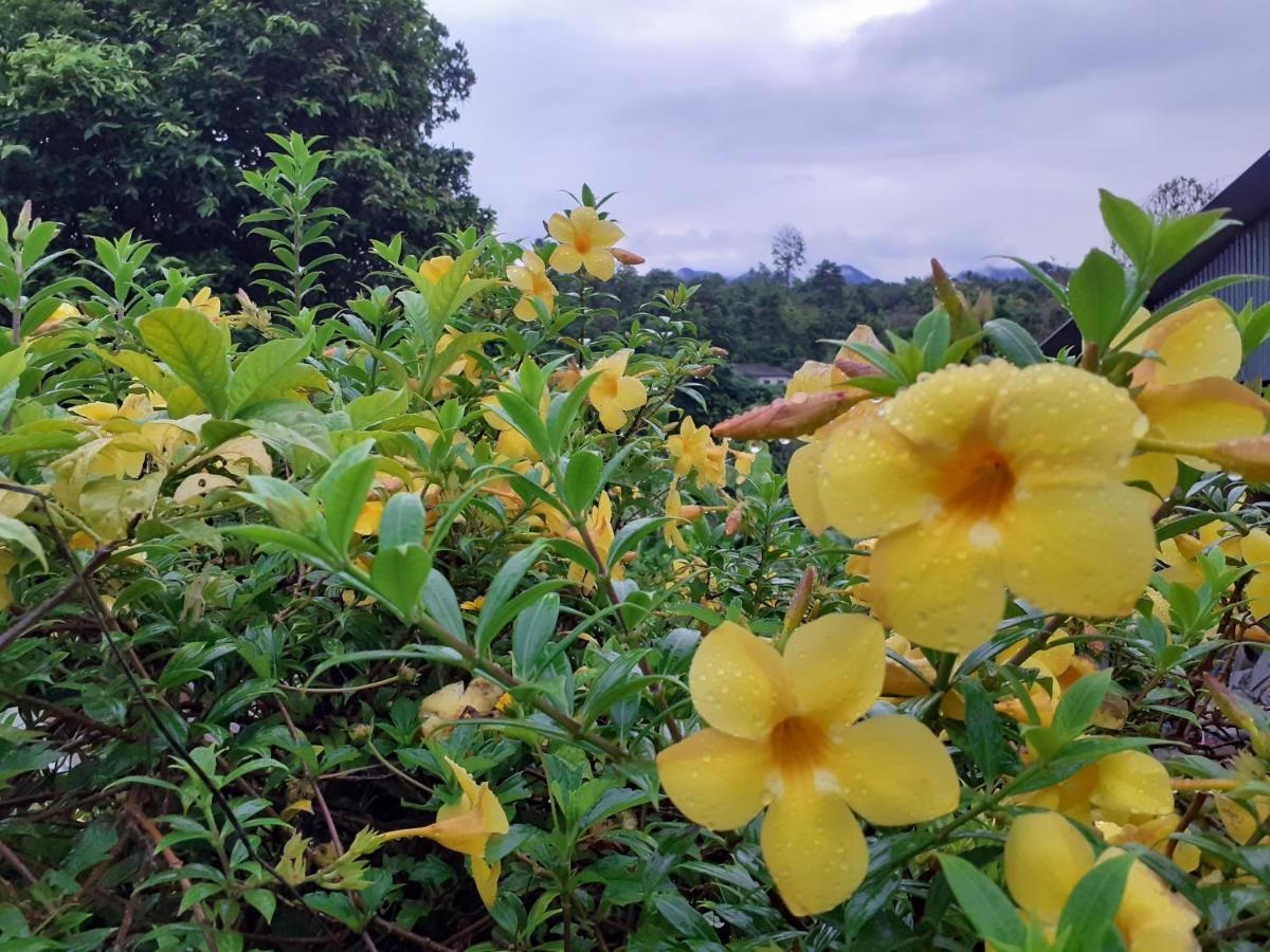 View Point Lodge Mae Hong Son Esterno foto