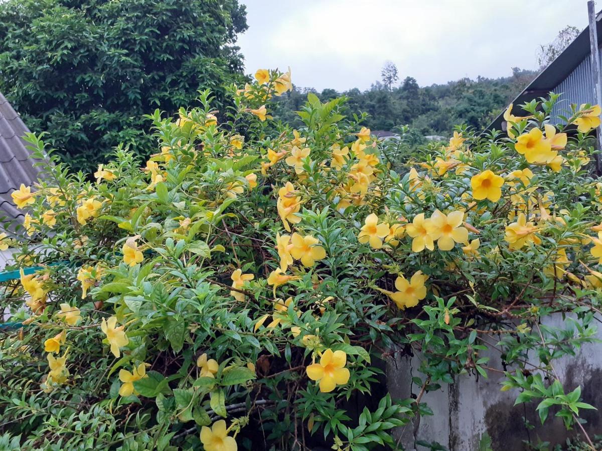 View Point Lodge Mae Hong Son Esterno foto