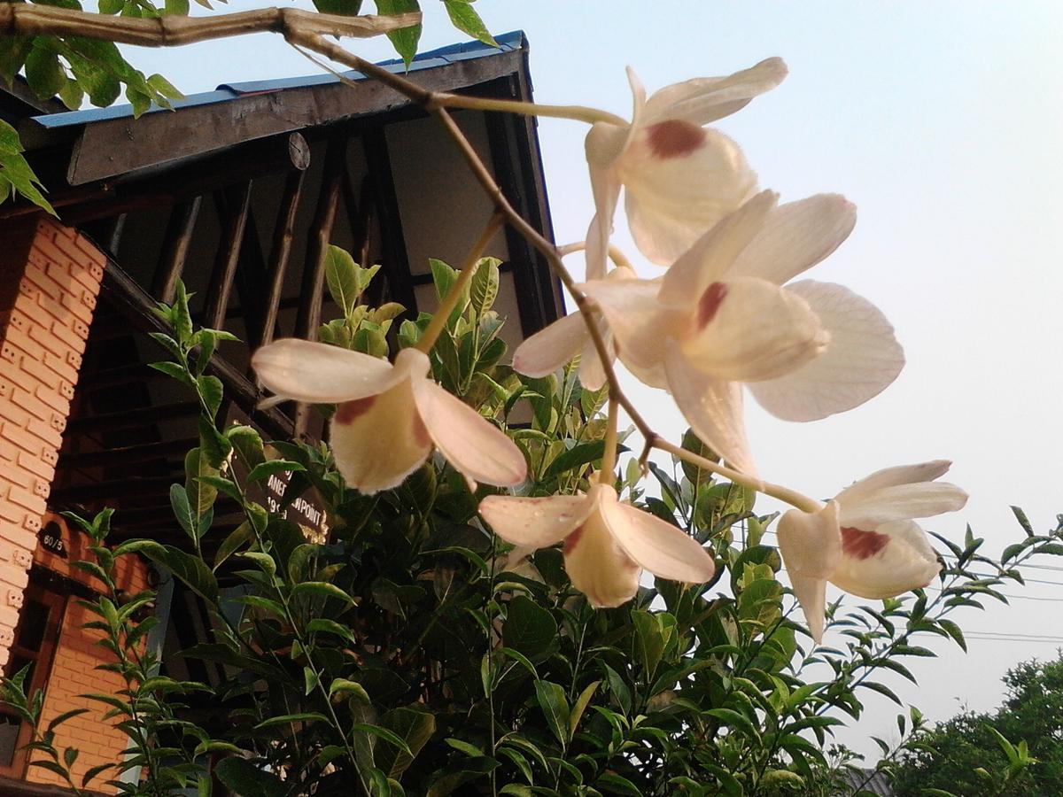 View Point Lodge Mae Hong Son Esterno foto